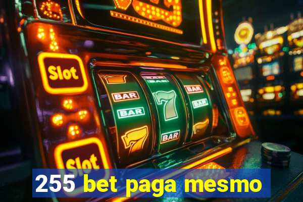 255 bet paga mesmo